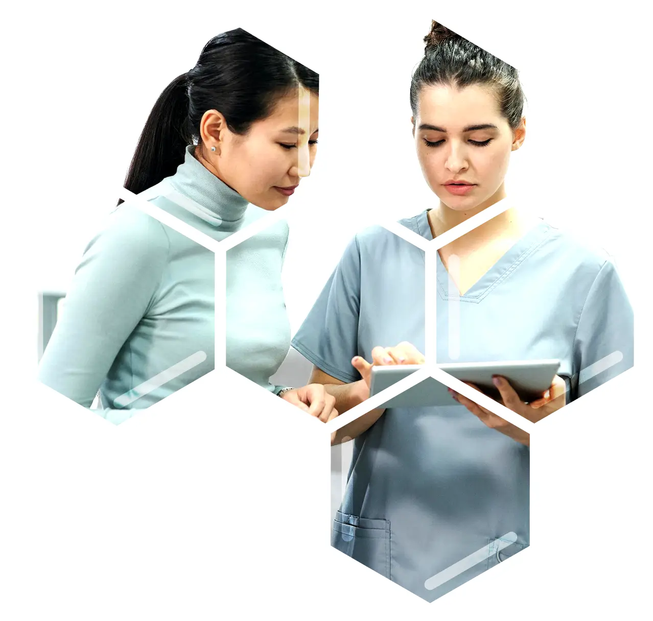 Adjudication Services